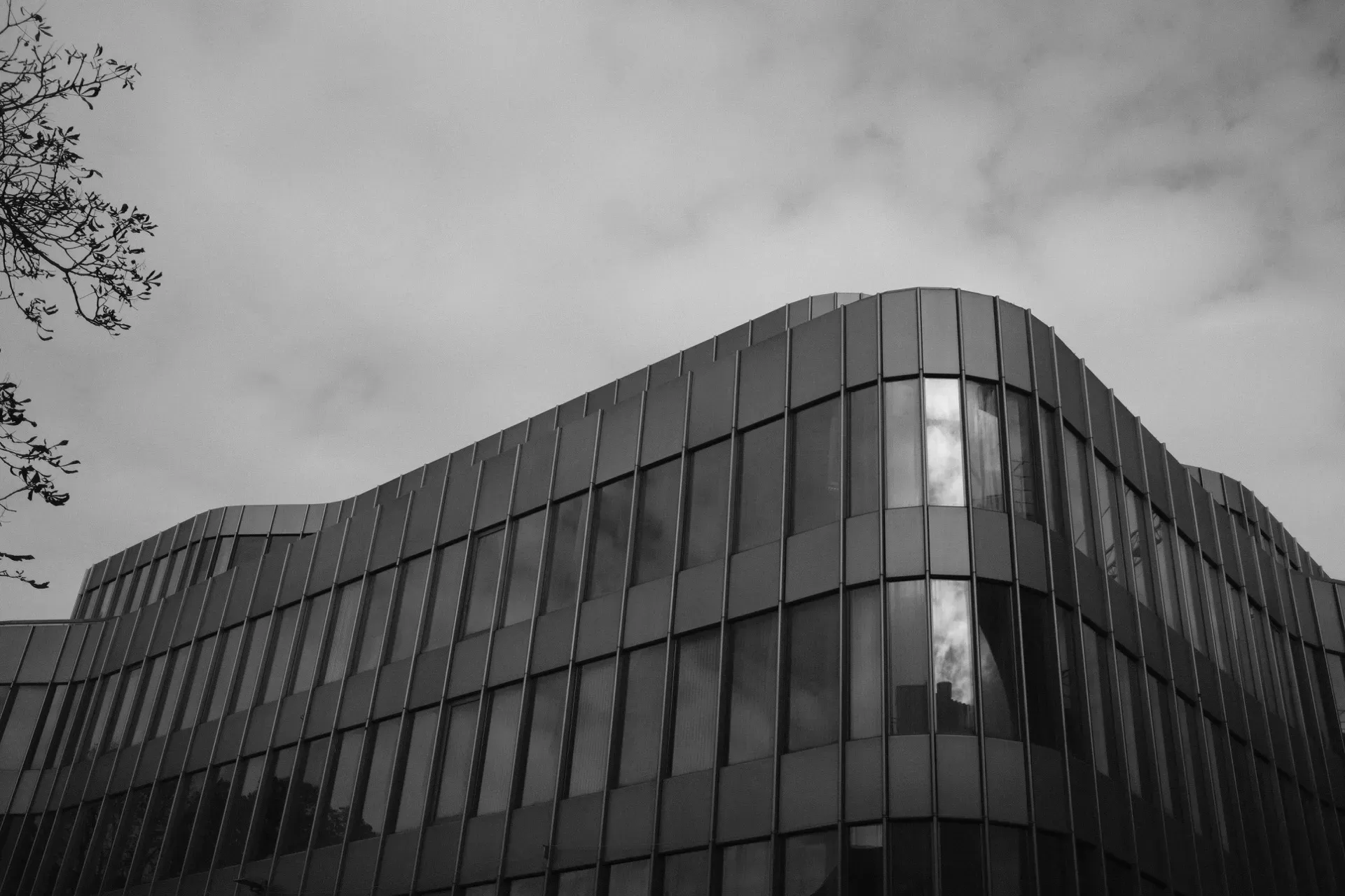Startups and scaleups navigating rapid growth and cross-functional friction